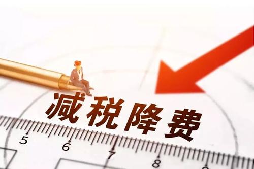 如何落实落细减税降费政策？税务总局今天这场发布会亮点多