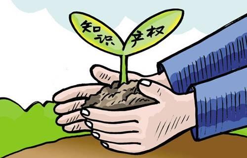 国家知识产权局办公室关于深化“蓝天”行动 促进知识产权服务业健康发展的通知