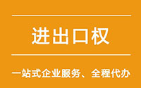 企业如何申请办理进出口权，需要什么材料和条件