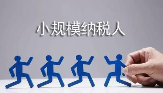 【解答】小规模纳税人使用新申报表进行纳税申报要注意什么？