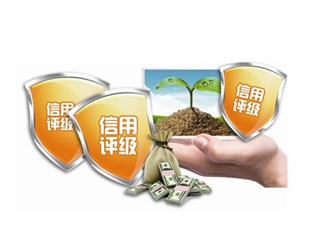 分支机构是否可以参与纳税信用评价，如何申请纳税信用补评？
