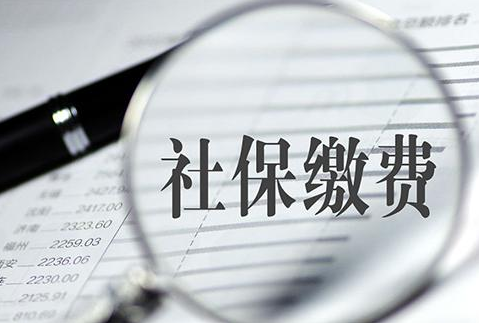 【解答】怎么在电子税务局查询单位社保费缴费信息？