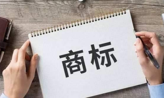 商标被驳回怎么办，不做驳回复审会怎么样？